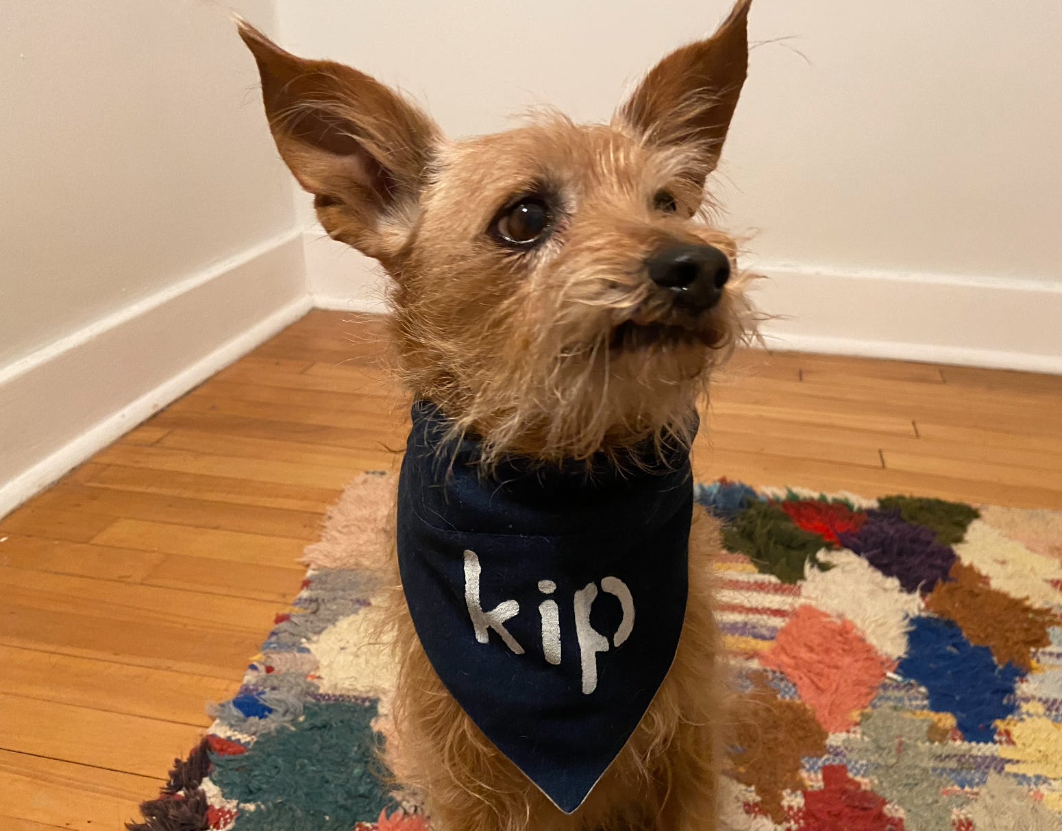 kip